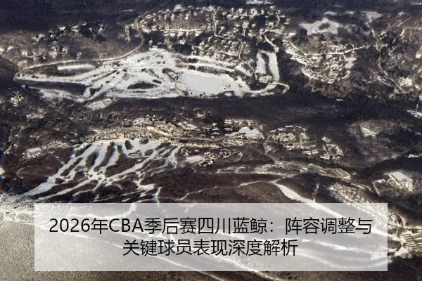 nian-ji-hou-sai-si-chuan-lan-jing-zhen-rong-tiao-zheng-yu-guan-jian-qiu-yuan-biao-xian-shen-du-jie-xi-1-480.jpg